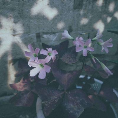 米乐m6官网登录入口app下载